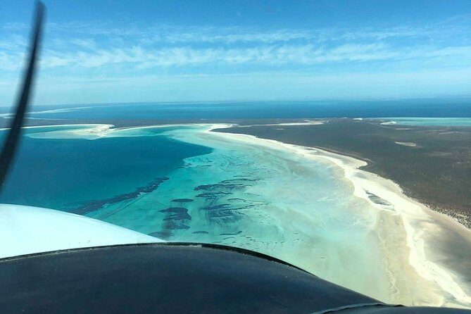 Monkey Mia Dolphins & Shark Bay Air Tour From Perth - A Full Day of Coastal Wonders: Monkey Mia Dolphins & Shark Bay Air Tour from Perth