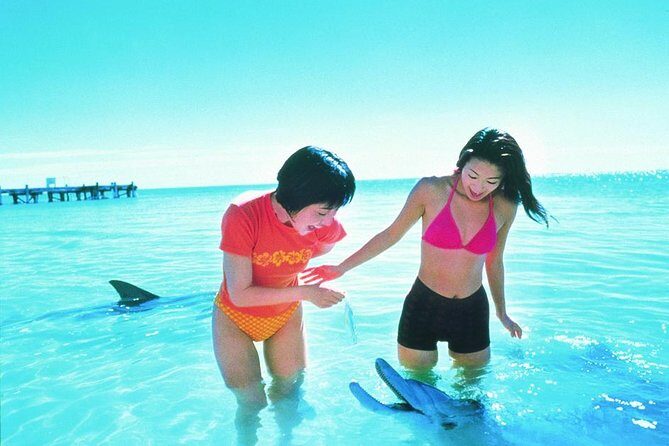 Monkey Mia Dolphins & Shark Bay Air Tour From Perth - Exploring the Itinerary in Detail