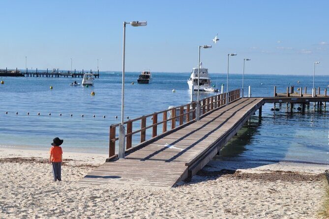 Monkey Mia Dolphins & Shark Bay Air Tour From Perth - Who Should Consider This Tour?