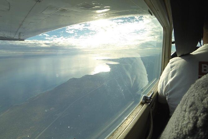 Monkey Mia Dolphins & Shark Bay Air Tour From Perth - FAQ