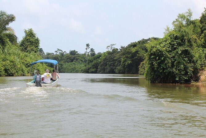 Monkey River Tour (with transportation from Hopkins) - Key Points