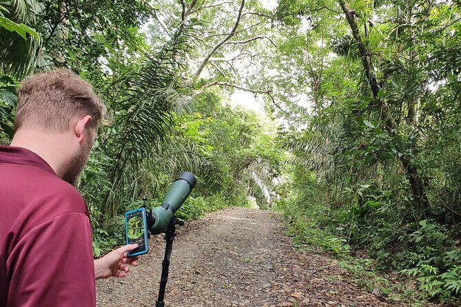 Monkey & Sloth Panama Canal Boat Safari with Casco Viejo Brunch - The Experience in Detail