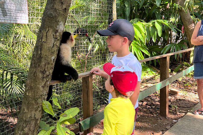 Monkey/Sloth Park + Zipline And City Tour In Roatan - Key Points