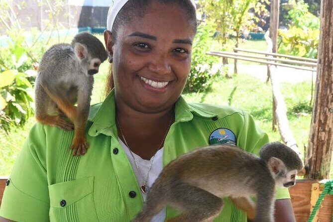 Monkey tour from Amber cove Y Taino bay Puerto Plata - An Honest Look at the Puerto Plata Monkey Tour