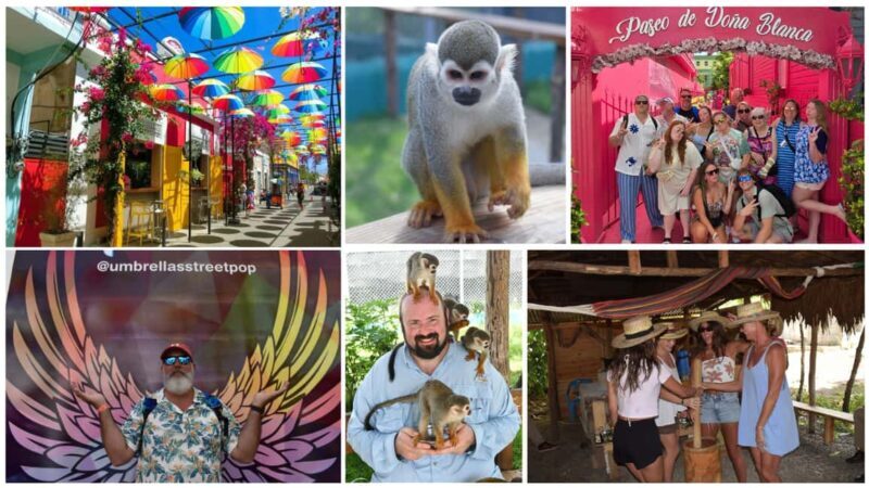 Monkey Tour Interaction and Historic Center (Puerto Plata) - Monkey Tour Interaction and Historic Center (Puerto Plata)