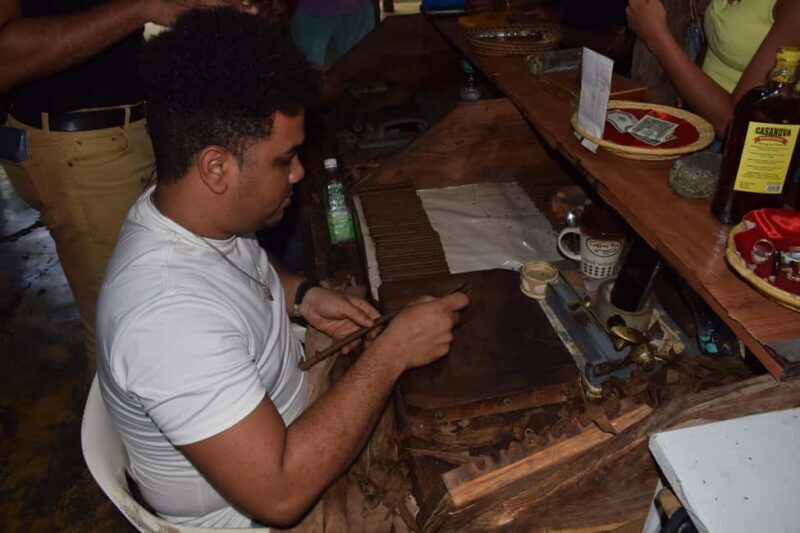 Monkey Tour Interaction and Historic Center (Puerto Plata) - Who Should Consider This Tour?