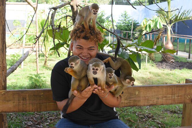 Monkey Tour Interaction and waterfalls excursion in Puerto Plata - Price and Value Analysis