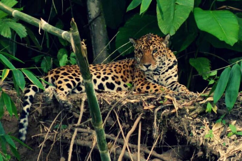 MONKEY´D EXCURSION (2 DAYS  1 NIGHT) - Who Will Love This Tour?