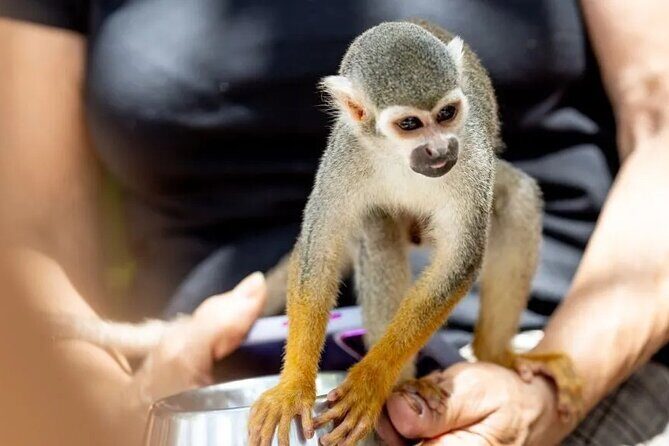 Monkeyhouse Adventure: A Family Day of Fun & Nature - Exploring the Itinerary: What Makes Each Part Special?