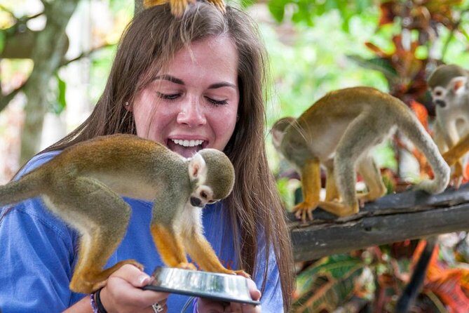 Monkeyland and Plantation Safari from La Romana - What We Think About the Value