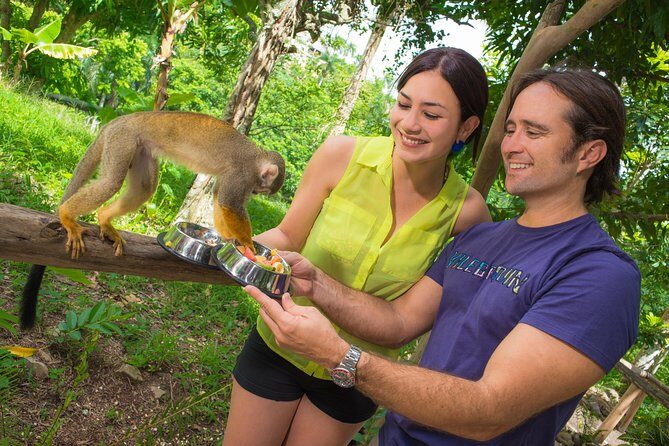 Monkeyland and Plantation Safari from La Romana - Final Words