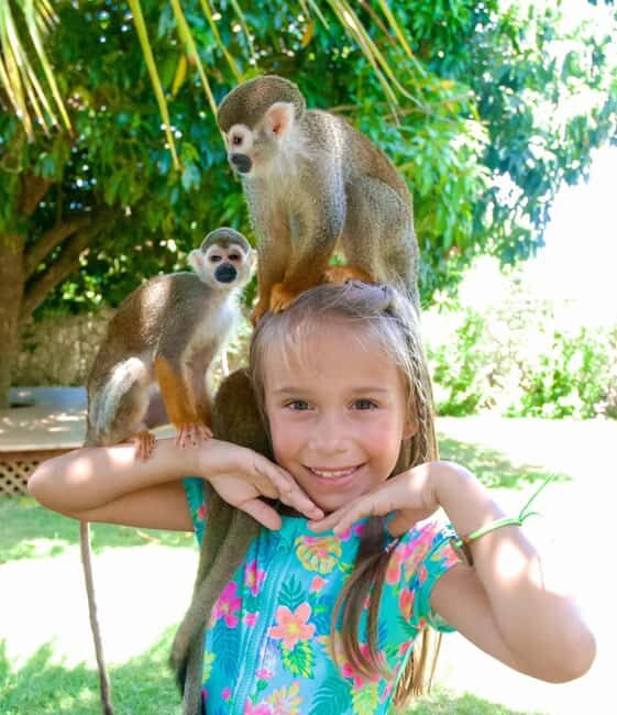 Monkeyland and Plantation Tour from Puerto plata - A Closer Look at the Monkeyland and Plantation Tour
