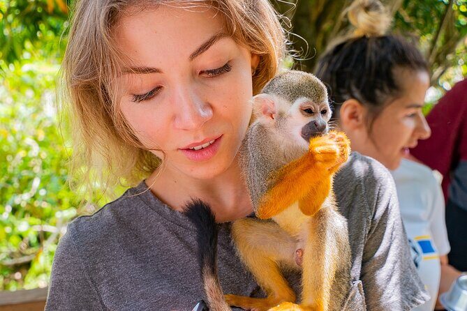 Monkeyland Samana Shared Adventure - The Sum Up