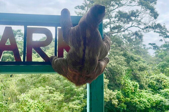 Monkeys and sloths, private tour , and beach - Exploring the Itinerary: What’s in Store