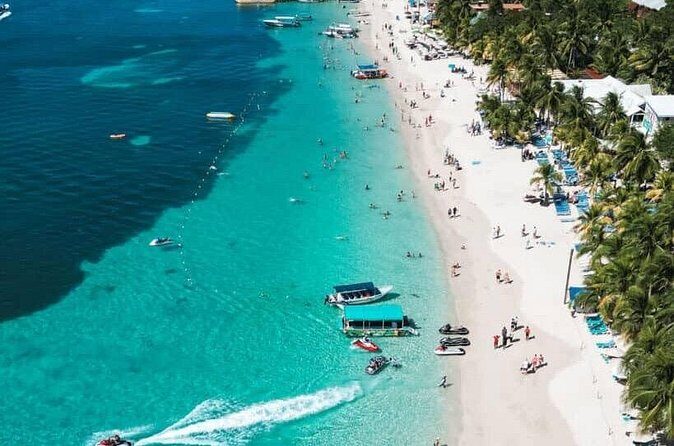 Monkeys and sloths, private tour , and beach - Authentic Encounters and Scenic Beauty