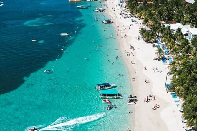 Monkeys and sloths, private tour , and beach - A Deep Dive into Roatan’s Private Wildlife and Beach Tour