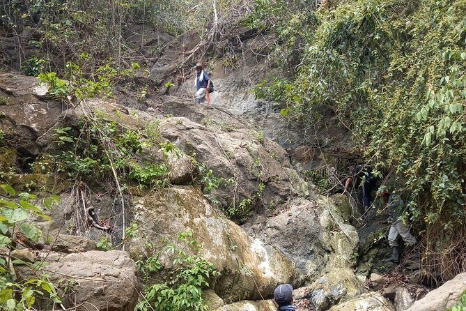 Monkeys Creek: An Extreme Tropical Forest Hiking Adventure - Key Points