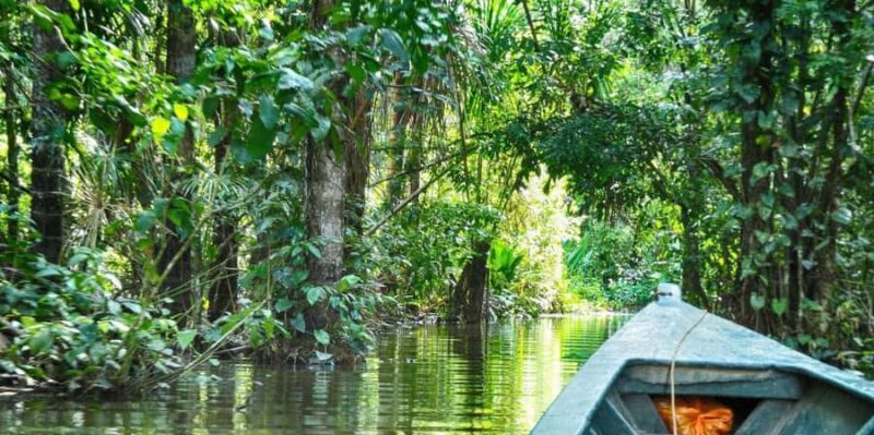 MONKEY´S EXCURSION 2D/1N - Discovering the Amazon in Just Two Days