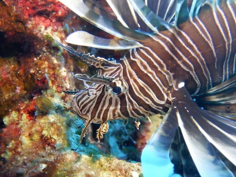 Mononaftis: Certified Scuba Diving - The Guides and Group Size