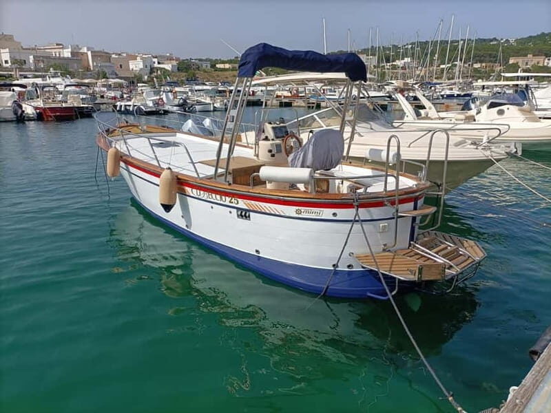 Monopoli: 2.5 Hour Boat Tour to the Polignano a Mare Caves - Who Will Love This Tour?