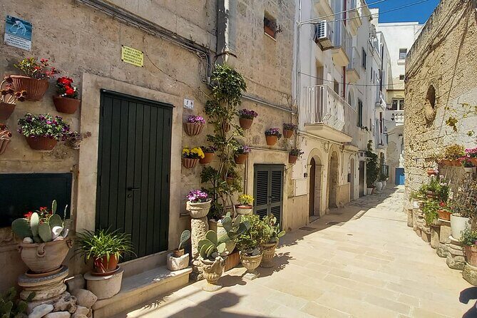 Monopoli City Walk Tour - Why This Tour Offers Excellent Value