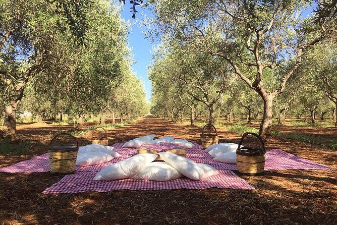 Monopoli's Countryside by Bike - The Sweet Finish: Artisanal Ice Cream