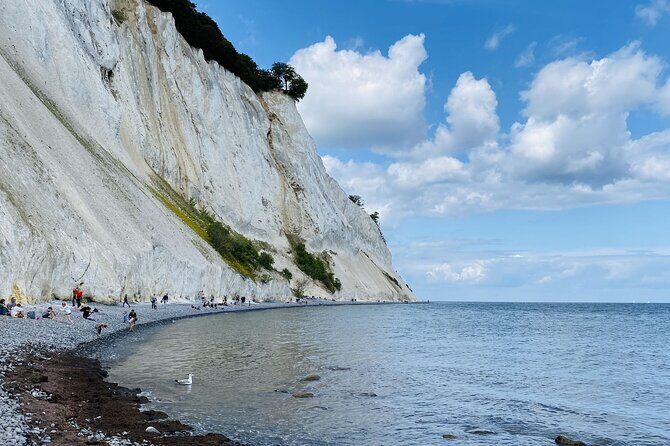Møns klint and The Forest tower - A day tour from Copenhagen - The Journey Begins: From Copenhagen to Denmark’s Natural Icons
