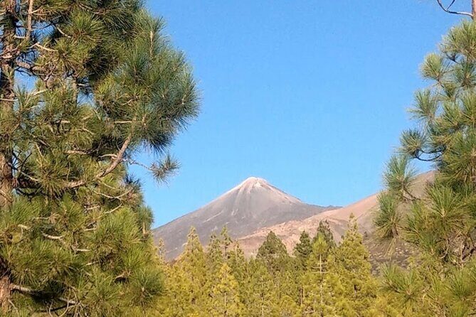 Monster Quad Teide Tour - FAQ: Your Questions Answered