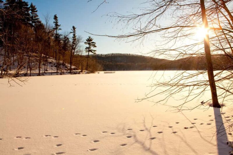 Mont-Saint-Bruno: Park Entry with Fat-bike and Snowshoeing - The Value of This Outdoor Escape