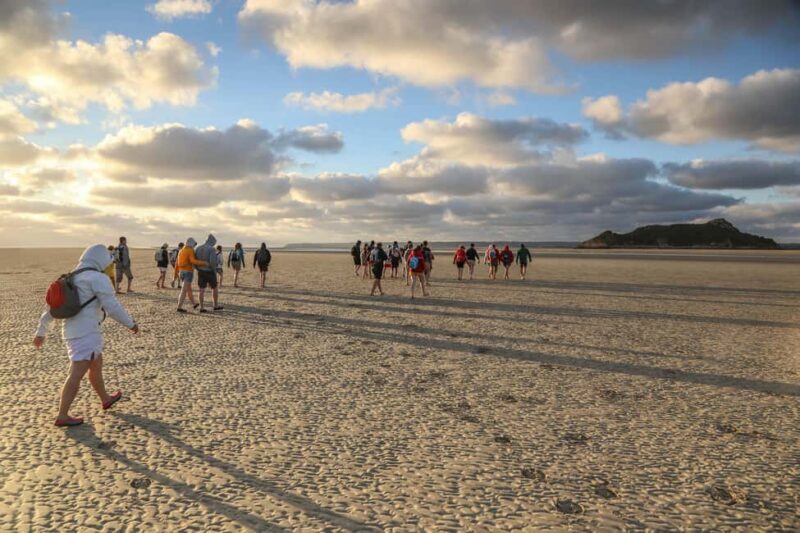 Mont-saint-Michel : Walk in the heart of the Bay - A Deep Dive into the Experience