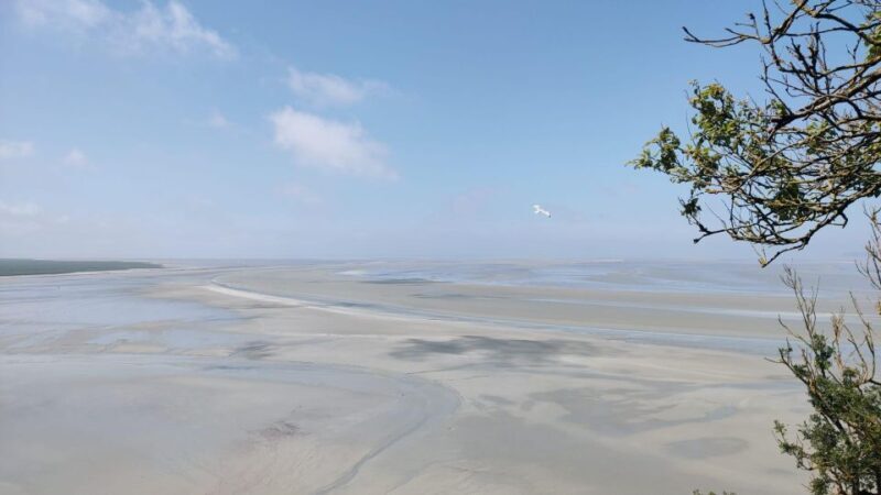 Mont-St-Michel: Small Group Guided Tour with Abbey Ticket - Who Should Book This Tour?
