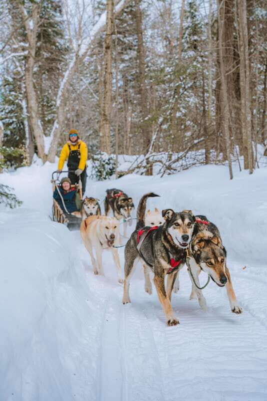 Mont-Tremblant: Dogsledding Upper Laurentians - Key Points
