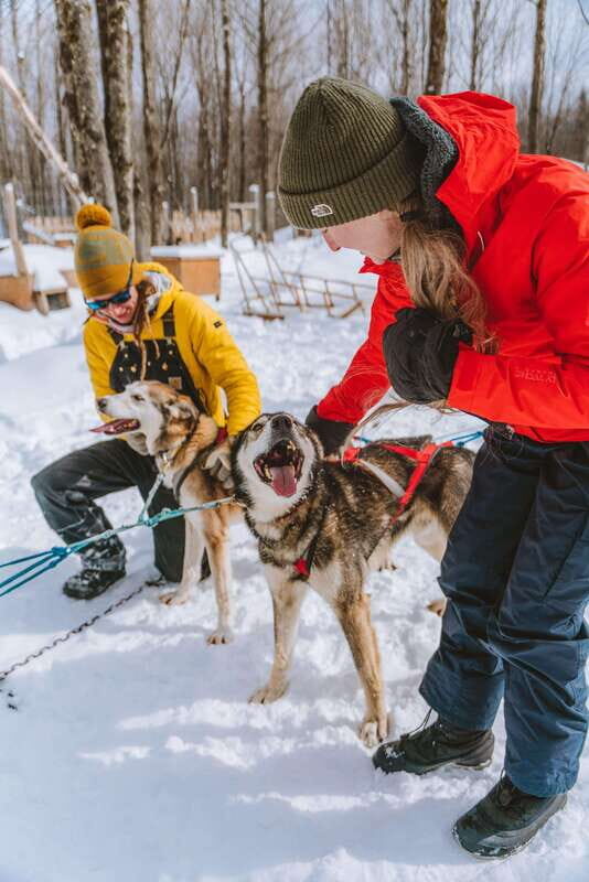 Mont-Tremblant: Dogsledding Upper Laurentians - An In-Depth Look at the Dogsledding Adventure
