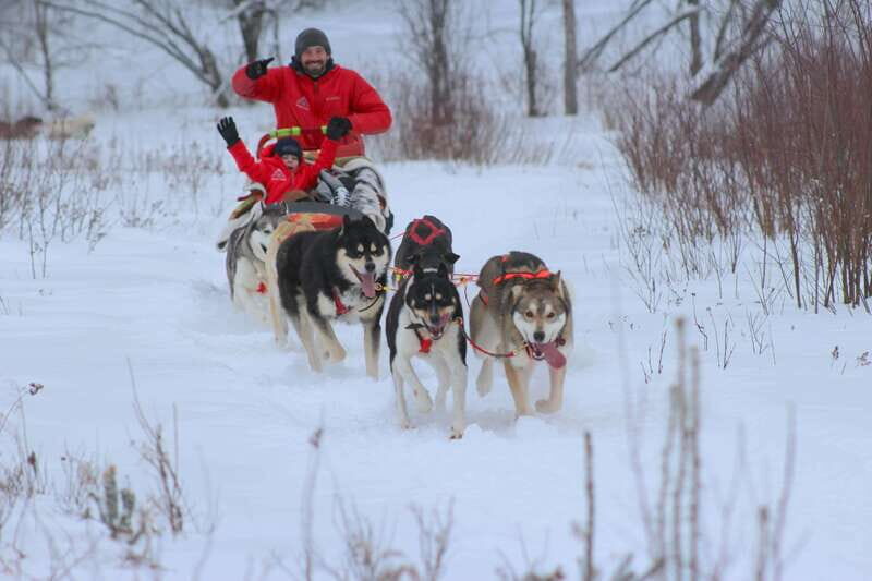 Mont-Tremblant: Dogsledding Valley Adventure - Key Points