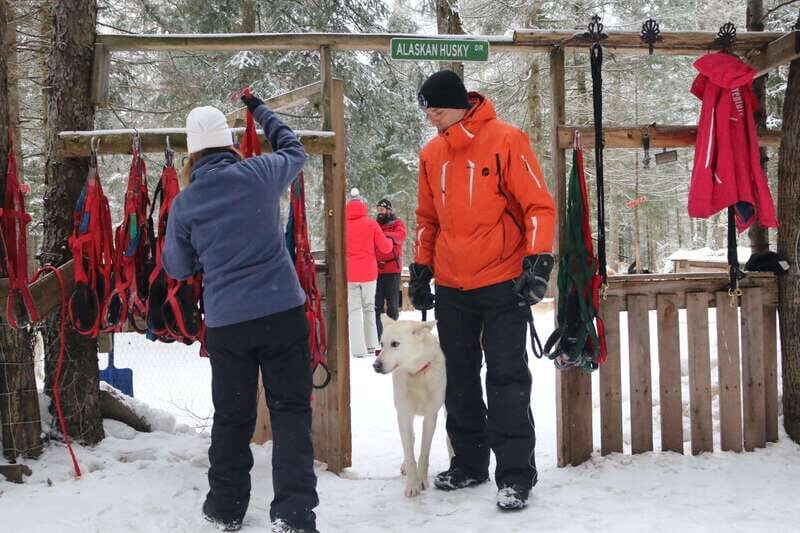 Mont-Tremblant: Dogsledding Valley Adventure - Who Will Love This Tour?