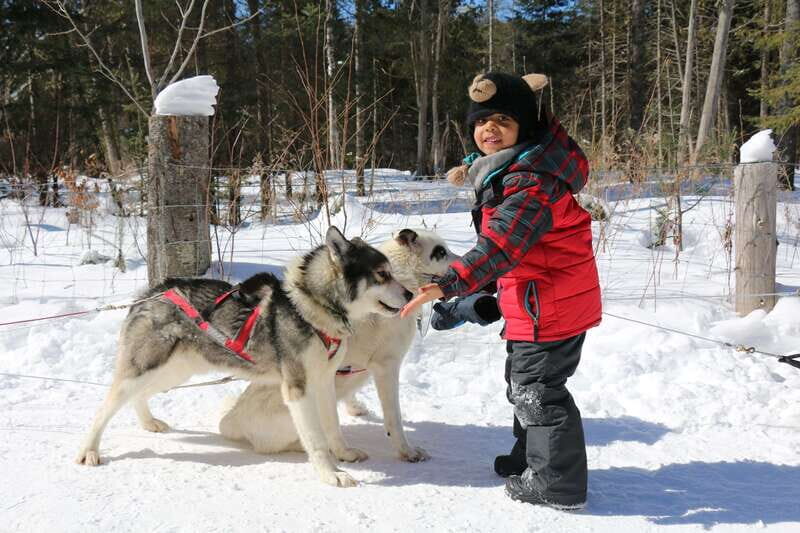 Mont-Tremblant: Dogsledding Valley Adventure - Frequently Asked Questions