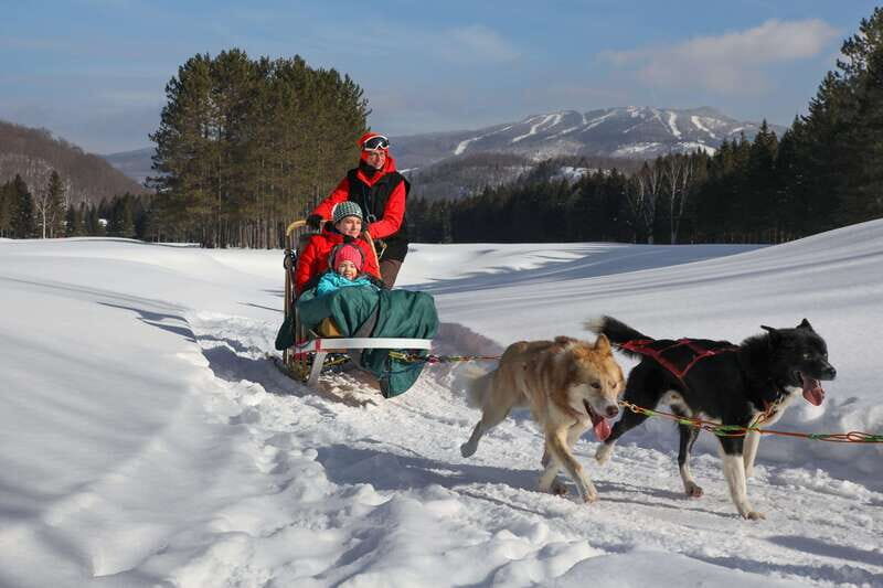 Mont-Tremblant: Guided Dogsledding Tour with Hot Chocolate - A Closer Look at the Dogsledding Experience in Mont-Tremblant