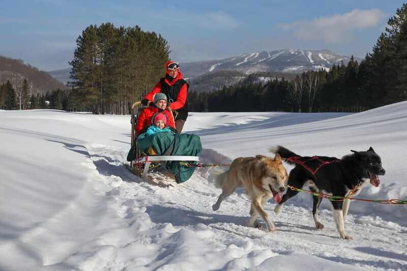 Mont-Tremblant: Guided Dogsledding Tour with Hot Chocolate - Who Should Consider This Tour?