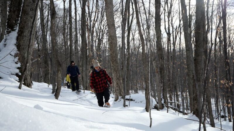 Mont-Tremblant: Guided Snowshoe Tour - FAQ