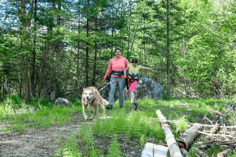Mont-Tremblant: Sled Dog Hiking Experience - Discovering the Mont-Tremblant Sled Dog Hiking Experience