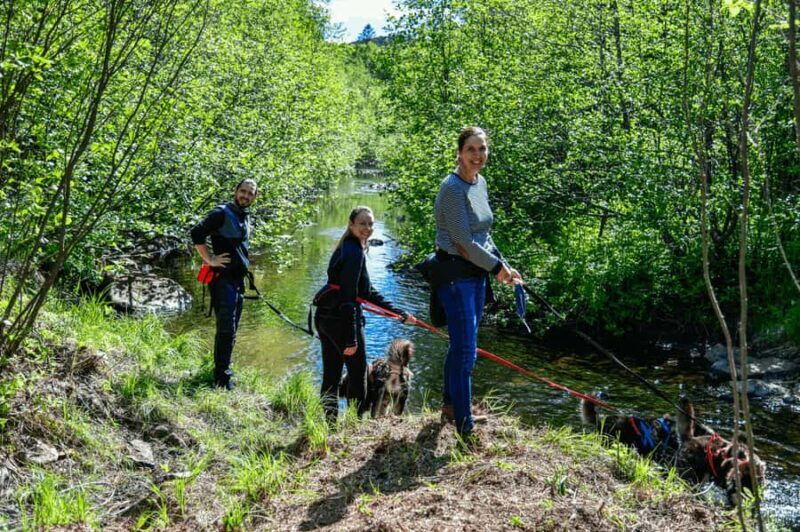 Mont-Tremblant: Sled Dog Hiking Experience - Who Should Consider This Tour?