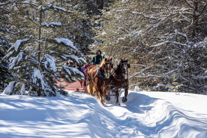Mont-Tremblant: Sleigh Ride w/ Storytelling & Hot Chocolate - Key Points