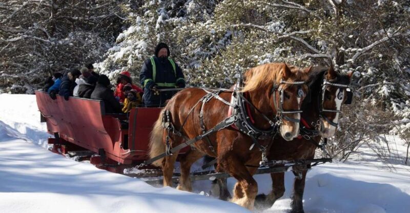 Mont-Tremblant: Sleigh Ride w/ Storytelling & Hot Chocolate - A Closer Look at the Mont-Tremblant Sleigh Ride Experience