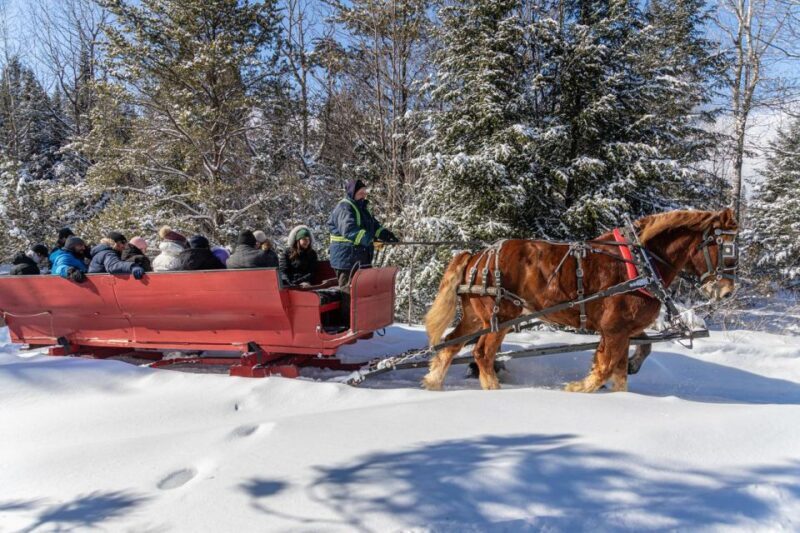 Mont-Tremblant: Sleigh Ride w/ Storytelling & Hot Chocolate - Who Will Love This Tour?
