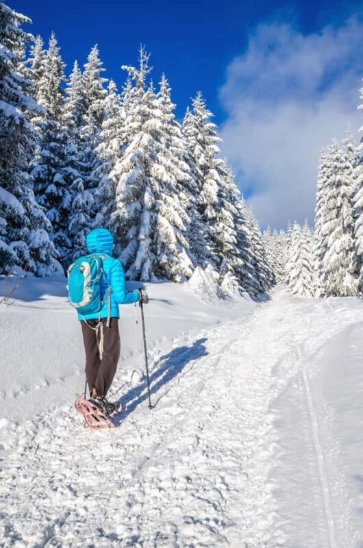 Mont-Tremblant: Snowshoe Rental with Trail Maps - Detailed Review of the Mont-Tremblant Snowshoe Experience