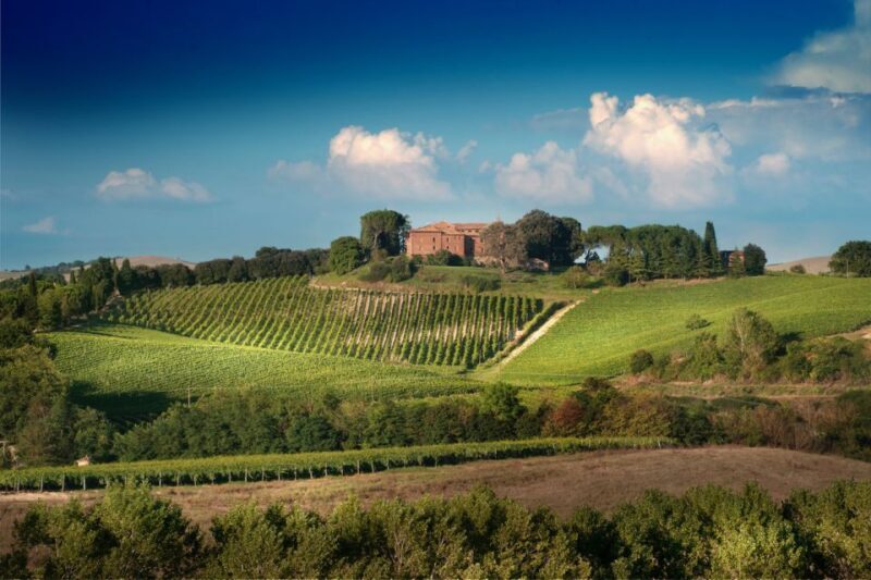 Montalcino: Brunello Wine Tasting Experience - Who Should Consider This Tour?
