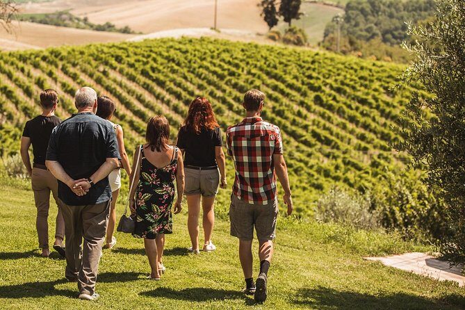 Montalcino Castle and Vineyards tour with tasting - A Closer Look at the Experience