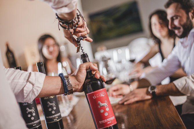 Montalcino Castle and Vineyards tour with tasting - Who Will Love This Tour?