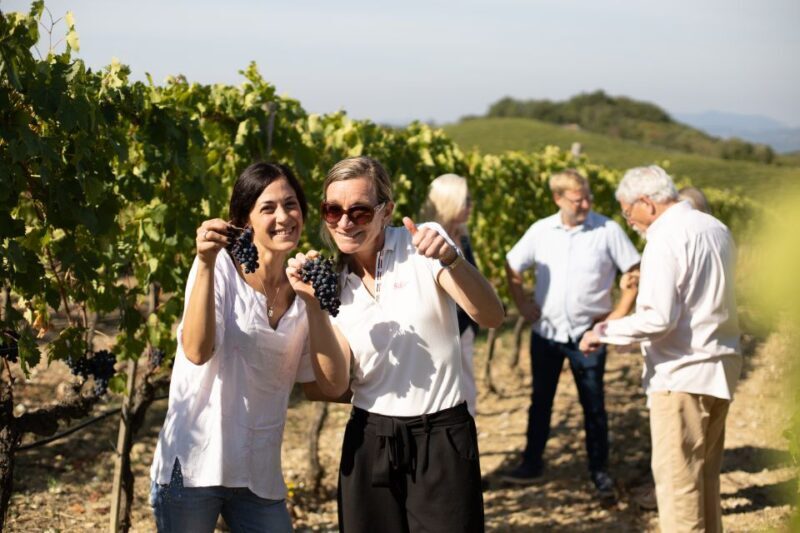 Montalcino: Guided Winery Tour and Wine Tasting - Discover the Charm of Montalcino with a Guided Winery Tour and Tasting