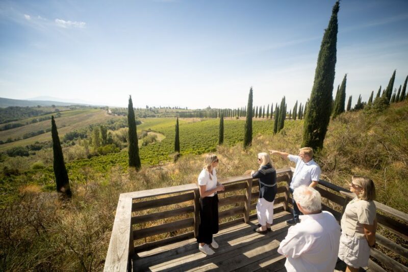 Montalcino: Guided Winery Tour and Wine Tasting - Why This Tour Resonates with Travelers
